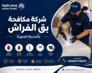 شركة مكافحة بق الفراش بالمدينة المنورة